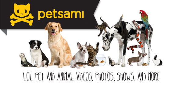 Petsami